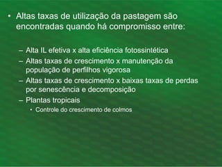 • Altas taxas de utilização da pastagem são
encontradas quando há compromisso entre:
– Alta IL efetiva x alta eficiência fotossintética
– Altas taxas de crescimento x manutenção da
população de perfilhos vigorosa
– Altas taxas de crescimento x baixas taxas de perdas
por senescência e decomposição
– Plantas tropicais
• Controle do crescimento de colmos
 