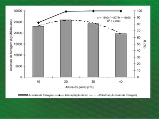 y = -1850x2
+ 8074x + 16855
R2
= 0,9924
0
5000
10000
15000
20000
25000
30000
10 20 30 40
Altura do pasto (cm)
Acúmulo
de
forragem
(kg
MS/ha.ano)
0
10
20
30
40
50
60
70
80
90
100
IL
(%)
Acúmulo de forragem Interceptação de luz Polinômio (Acúmulo de forragem)
 