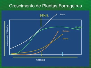 tempo
95% IL
Crescimento de Plantas Forrageiras
Colmos
Morte
Bruto
Líquido
 