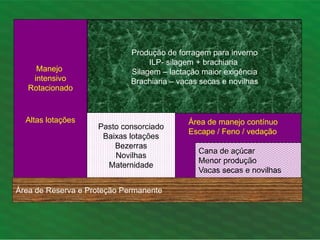 Manejo
intensivo
Rotacionado
Altas lotações
Produção de forragem para inverno
ILP- silagem + brachiaria
Silagem – lactação maior exigência
Brachiaria – vacas secas e novilhas
Cana de açúcar
Menor produção
Vacas secas e novilhas
Pasto consorciado
Baixas lotações
Bezerras
Novilhas
Maternidade
Área de manejo contínuo
Escape / Feno / vedação
Área de Reserva e Proteção Permanente
 