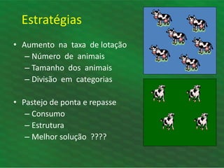 • Aumento na taxa de lotação
– Número de animais
– Tamanho dos animais
– Divisão em categorias
• Pastejo de ponta e repasse
– Consumo
– Estrutura
– Melhor solução ????
Estratégias
 