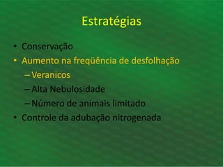 • Conservação
• Aumento na freqüência de desfolhação
–Veranicos
–Alta Nebulosidade
–Número de animais limitado
• Controle da adubação nitrogenada
Estratégias
 
