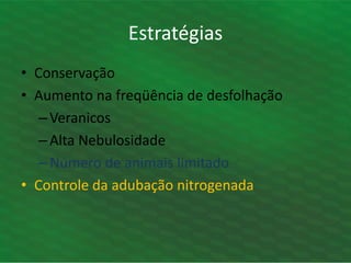 • Conservação
• Aumento na freqüência de desfolhação
–Veranicos
–Alta Nebulosidade
–Número de animais limitado
• Controle da adubação nitrogenada
Estratégias
 