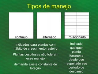 Tipos de manejo
contínuo alternado rotacionado
Indicados para plantas com
hábito de crescimento rasteiro
Plantas cespitosas não toleram
esse manejo
demanda ajuste constante de
lotação
Indicado
qualquer
planta
forrageira
desde que
respeitado seu
período de
descanso
 