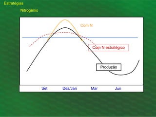 Set Dez/Jan Mar Jun
Produção
Com N estratégico
Com N
Estratégias
Nitrogênio
 