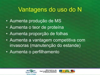 Vantagens do uso do N
• Aumenta produção de MS
• Aumenta o teor de proteína
• Aumenta proporção de folhas
• Aumenta a vantagem competitiva com
invasoras (manutenção do estande)
• Aumenta o perfilhamento
Arroz e Feijão
 
