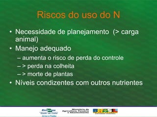 Riscos do uso do N
• Necessidade de planejamento (> carga
animal)
• Manejo adequado
– aumenta o risco de perda do controle
– > perda na colheita
– > morte de plantas
• Níveis condizentes com outros nutrientes
Arroz e Feijão
 