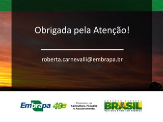 roberta.carnevalli@embrapa.br
Obrigada pela Atenção!
 
