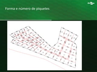 Forma e número de piquetes
 