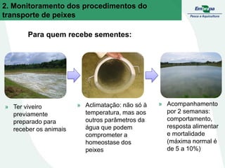 2. Monitoramento dos procedimentos do
transporte de peixes
Para quem recebe sementes:
» Ter viveiro
previamente
preparado para
receber os animais
» Acompanhamento
por 2 semanas:
comportamento,
resposta alimentar
e mortalidade
(máxima normal é
de 5 a 10%)
» Aclimatação: não só à
temperatura, mas aos
outros parâmetros da
água que podem
comprometer a
homeostase dos
peixes
 