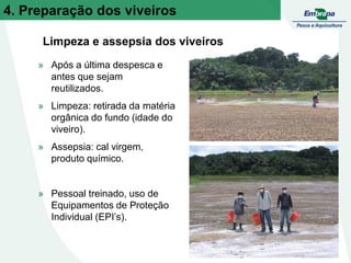 4. Preparação dos viveiros
» Após a última despesca e
antes que sejam
reutilizados.
» Limpeza: retirada da matéria
orgânica do fundo (idade do
viveiro).
» Assepsia: cal virgem,
produto químico.
» Pessoal treinado, uso de
Equipamentos de Proteção
Individual (EPI’s).
Limpeza e assepsia dos viveiros
 