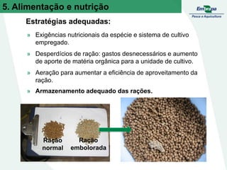 Estratégias adequadas:
» Exigências nutricionais da espécie e sistema de cultivo
empregado.
» Desperdícios de ração: gastos desnecessários e aumento
de aporte de matéria orgânica para a unidade de cultivo.
» Aeração para aumentar a eficiência de aproveitamento da
ração.
» Armazenamento adequado das rações.
Ração
normal
Ração
embolorada
5. Alimentação e nutrição
 