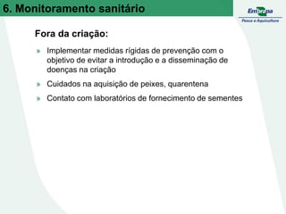 Fora da criação:
» Implementar medidas rígidas de prevenção com o
objetivo de evitar a introdução e a disseminação de
doenças na criação
» Cuidados na aquisição de peixes, quarentena
» Contato com laboratórios de fornecimento de sementes
6. Monitoramento sanitário
 