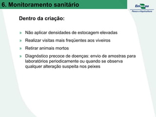 » Não aplicar densidades de estocagem elevadas
» Realizar visitas mais freqüentes aos viveiros
» Retirar animais mortos
» Diagnóstico precoce de doenças: envio de amostras para
laboratórios periodicamente ou quando se observa
qualquer alteração suspeita nos peixes
Dentro da criação:
6. Monitoramento sanitário
 