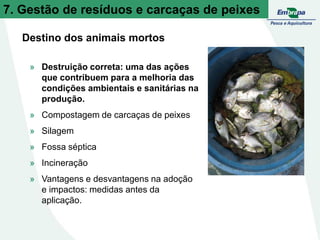 7. Gestão de resíduos e carcaças de peixes
» Destruição correta: uma das ações
que contribuem para a melhoria das
condições ambientais e sanitárias na
produção.
» Compostagem de carcaças de peixes
» Silagem
» Fossa séptica
» Incineração
» Vantagens e desvantagens na adoção
e impactos: medidas antes da
aplicação.
Destino dos animais mortos
 