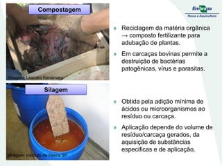 Imagem: Leandro Kanamaru
Compostagem
» Reciclagem da matéria orgânica
→ composto fertilizante para
adubação de plantas.
» Em carcaças bovinas permite a
destruição de bactérias
patogênicas, vírus e parasitas.
Imagem: Instituto de Pesca SP
Silagem
» Obtida pela adição mínima de
ácidos ou microorganismos ao
resíduo ou carcaça.
» Aplicação depende do volume de
resíduo/carcaça gerados, da
aquisição de substâncias
especificas e de aplicação.
 