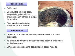 Fossa séptica
» Edificadas.
» Construídas em local seco,
longe de lençóis freáticos,
providas de um telhado e tampa
de encaixe.
» Para aviários a distância
mínima é de 200 metros. Imagem: internet
» Depende de equipamentos adequados e escolha do local
adequado.
» Na avicultura método é indicado quando ocorrem problemas
sanitários graves.
» Emissão de gases é uma desvantagem desse método.
Incineração
 