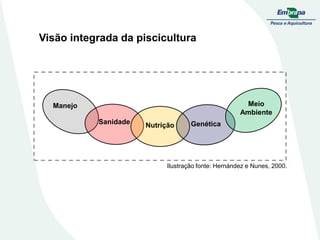 Nutrição
Meio
Ambiente
Genética
Sanidade
Manejo
Ilustração fonte: Hernández e Nunes, 2000.
Visão integrada da piscicultura
 
