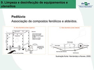 Pedilúvio
Associação de compostos fenólicos e aldeídos.
Ilustração fonte: Hernández e Nunes, 2000.
9. Limpeza e desinfecção de equipamentos e
utensílios
 