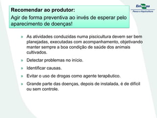 Recomendar ao produtor:
Agir de forma preventiva ao invés de esperar pelo
aparecimento de doenças!
» As atividades conduzidas numa piscicultura devem ser bem
planejadas, executadas com acompanhamento, objetivando
manter sempre a boa condição de saúde dos animais
cultivados.
» Detectar problemas no início.
» Identificar causas.
» Evitar o uso de drogas como agente terapêutico.
» Grande parte das doenças, depois de instalada, é de difícil
ou sem controle.
 