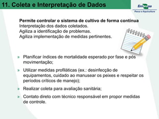 11. Coleta e Interpretação de Dados
Permite controlar o sistema de cultivo de forma contínua
Interpretação dos dados coletados.
Agiliza a identificação de problemas.
Agiliza implementação de medidas pertinentes.
» Planificar índices de mortalidade esperado por fase e pós
movimentação;
» Utilizar medidas profiláticas (ex.: desinfecção de
equipamentos, cuidado ao manusear os peixes e respeitar os
períodos críticos de manejo);
» Realizar coleta para avaliação sanitária;
» Contato direto com técnico responsável em propor medidas
de controle.
 
