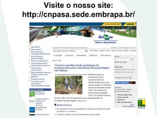 Visite o nosso site:
http://cnpasa.sede.embrapa.br/
 