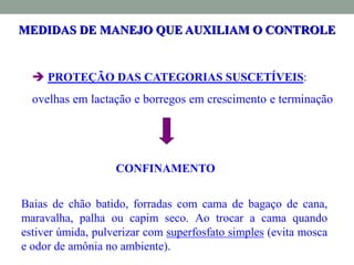 MEDIDAS DE MANEJO QUE AUXILIAM O CONTROLE
 PROTEÇÃO DAS CATEGORIAS SUSCETÍVEIS:
ovelhas em lactação e borregos em crescimento e terminação
CONFINAMENTO
Baias de chão batido, forradas com cama de bagaço de cana,
maravalha, palha ou capim seco. Ao trocar a cama quando
estiver úmida, pulverizar com superfosfato simples (evita mosca
e odor de amônia no ambiente).
 