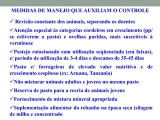 MEDIDAS DE MANEJO QUE AUXILIAM O CONTROLE
 Revisão constante dos animais, separando os doentes
Atenção especial às categorias cordeiros em crescimento (pp/
se estiverem a pasto) e ovelhas paridas, mais suscetíveis à
verminose
Pastejo rotacionado com utilização seqüenciada (em faixas),
c/ período de utilização de 3-4 dias e descanso de 35-45 dias
Pasto c/ forrageiras de elevado valor nutritivo e de
crescimento cespitoso (ex: Aruana, Tanzania)
Não misturar animais adultos e jovens no mesmo pasto
Reserva de pasto para a recria de animais jovens
Fornecimento de mistura mineral apropriada
Suplementação alimentar do rebanho na época seca (silagem
de milho e concentrado
 