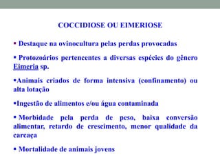 COCCIDIOSE OU EIMERIOSE
 Destaque na ovinocultura pelas perdas provocadas
 Protozoários pertencentes a diversas espécies do gênero
Eimeria sp.
Animais criados de forma intensiva (confinamento) ou
alta lotação
Ingestão de alimentos e/ou água contaminada
 Morbidade pela perda de peso, baixa conversão
alimentar, retardo de crescimento, menor qualidade da
carcaça
 Mortalidade de animais jovens
 