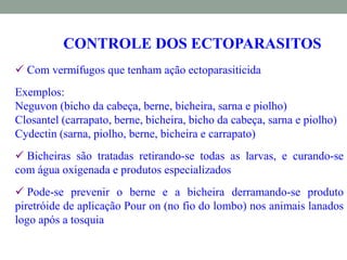 CONTROLE DOS ECTOPARASITOS
 Com vermífugos que tenham ação ectoparasiticida
Exemplos:
Neguvon (bicho da cabeça, berne, bicheira, sarna e piolho)
Closantel (carrapato, berne, bicheira, bicho da cabeça, sarna e piolho)
Cydectin (sarna, piolho, berne, bicheira e carrapato)
 Bicheiras são tratadas retirando-se todas as larvas, e curando-se
com água oxigenada e produtos especializados
 Pode-se prevenir o berne e a bicheira derramando-se produto
piretróide de aplicação Pour on (no fio do lombo) nos animais lanados
logo após a tosquia
 