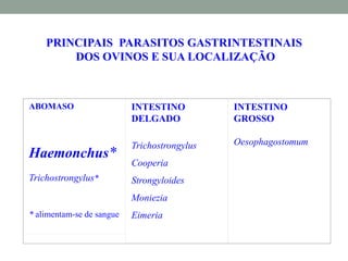 PRINCIPAIS PARASITOS GASTRINTESTINAIS
DOS OVINOS E SUA LOCALIZAÇÃO
ABOMASO
Haemonchus*
Trichostrongylus*
* alimentam-se de sangue
INTESTINO
DELGADO
Trichostrongylus
Cooperia
Strongyloides
Moniezia
Eimeria
INTESTINO
GROSSO
Oesophagostomum
 