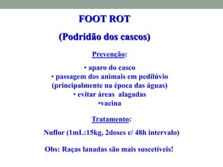 FOOT ROT
(Podridão dos cascos)
Prevenção:
• aparo do casco
• passagem dos animais em pedilúvio
(principalmente na época das águas)
• evitar áreas alagadas
•vacina
Obs: Raças lanadas são mais suscetíveis!
Tratamento:
Nuflor (1mL:15kg, 2doses c/ 48h intervalo)
 