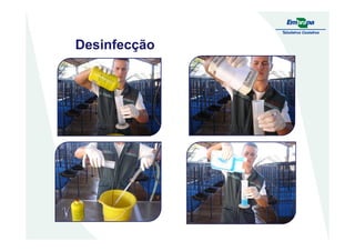 Desinfecção
 