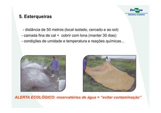 5. Esterqueiras
- distância de 50 metros (local isolado, cercado e ao sol)
- camada fina de cal + cobrir com lona (manter 30 dias)
- condições de umidade e temperatura e reações químicas...
ALERTA ECOLÓGICO: reservatórios de água = “evitar contaminação”
 