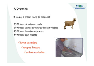 7. Ordenha
# Seguir a ordem (linha de ordenha)
1º) fêmeas de primeiro parto
2º) fêmeas velhas que nunca tiveram mastite
3º) fêmeas tratadas e curadas
4º) fêmeas com mastite
√ lavar as mãos
√ roupas limpas
√ unhas cortadas
 
