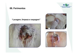 08. Ferimentos
“Lavagem, limpeza e raspagem”
 