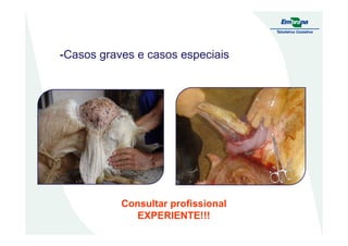 -Casos graves e casos especiais
Consultar profissional
EXPERIENTE!!!
 