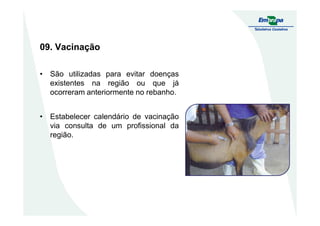 09. Vacinação
• São utilizadas para evitar doenças
existentes na região ou que já
ocorreram anteriormente no rebanho.
• Estabelecer calendário de vacinação• Estabelecer calendário de vacinação
via consulta de um profissional da
região.
 