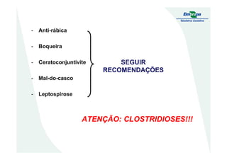 - Anti-rábica
- Boqueira
- Ceratoconjuntivite
- Mal-do-casco
SEGUIRSEGUIR
RECOMENDAÇÕESRECOMENDAÇÕES
- Mal-do-casco
- Leptospirose
ATENÇÃO: CLOSTRIDIOSES!!!
 