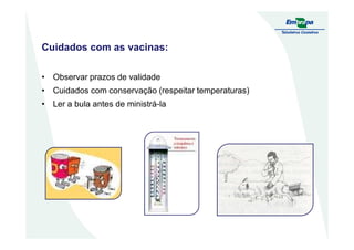 Cuidados com as vacinas:
• Observar prazos de validade
• Cuidados com conservação (respeitar temperaturas)
• Ler a bula antes de ministrá-la
 