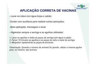 APLICAÇÃO CORRETA DE VACINAS
- Lavar as mãos com água limpa e sabão;
-Contar com auxiliares para realizar outras operações;
-Após aplicação, massagear o local;
- Higienizar sempre a seringa e as agulhas utilizadas:- Higienizar sempre a seringa e as agulhas utilizadas:
1. Lavar as agulhas e todas as peças da seringa com água e sabão;
2. Ferver 10 minutos as agulhas e as peças de vidro e metal da seringa;
3. Mergulhar rapidamente as peças de borracha.
Observação: Quando o número de animais for grande, utilizar a mesma agulha
para, no máximo, dez animais.
 
