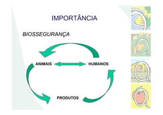 IMPORTÂNCIA
BIOSSEGURANÇA
ANIMAISANIMAIS HUMANOSHUMANOS
PRODUTOSPRODUTOS
 