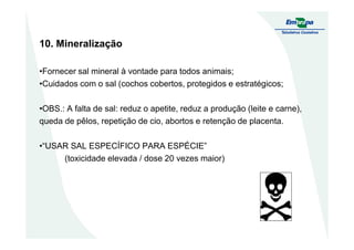 10. Mineralização
•Fornecer sal mineral à vontade para todos animais;
•Cuidados com o sal (cochos cobertos, protegidos e estratégicos;
•OBS.: A falta de sal: reduz o apetite, reduz a produção (leite e carne),
queda de pêlos, repetição de cio, abortos e retenção de placenta.queda de pêlos, repetição de cio, abortos e retenção de placenta.
•“USAR SAL ESPECÍFICO PARA ESPÉCIE”
(toxicidade elevada / dose 20 vezes maior)
 