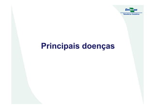 Principais doençasPrincipais doenças
 