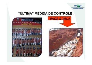 “ÚLTIMA” MEDIDA DE CONTROLE
FACA & VALAFACA & VALA
 