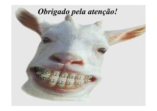Obrigado pela atenção!Obrigado pela atenção!
 