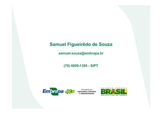Samuel Figueirêdo de Souza
samuel.souza@embrapa.br
(79) 4009-1395 - SIPT
 