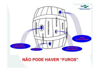 HIGIENE
VACINAÇÃO
VERMIFUGAÇÃO
QUARENTENA
TRATAMENTOTRATAMENTO
MORTES
BAIXA
PRODUTIVIDADE
GASTOS COM
MEDICAMENTOS
PROBLEMAS
REPRODUTIVOS
NÃO PODE HAVER “FUROS”NÃO PODE HAVER “FUROS”
 