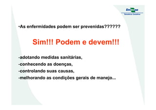 •As enfermidades podem ser prevenidas??????
Sim!!! Podem e devem!!!
-adotando medidas sanitárias,-adotando medidas sanitárias,
-conhecendo as doenças,
-controlando suas causas,
-melhorando as condições gerais de manejo...
 