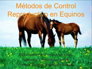 Métodos de Control
Reproductivo en Equinos
TNS Gestión de Predios Agrícolas.
Anatomía y Fisiología Animal.
Pamela Zerené– Francisco Baeza.
 
